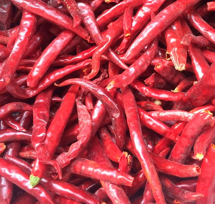 chiles011