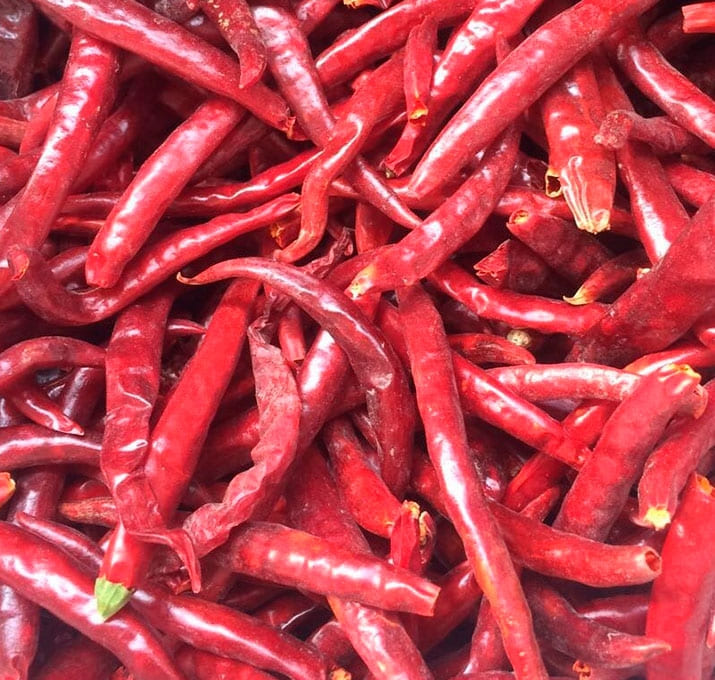 chiles014