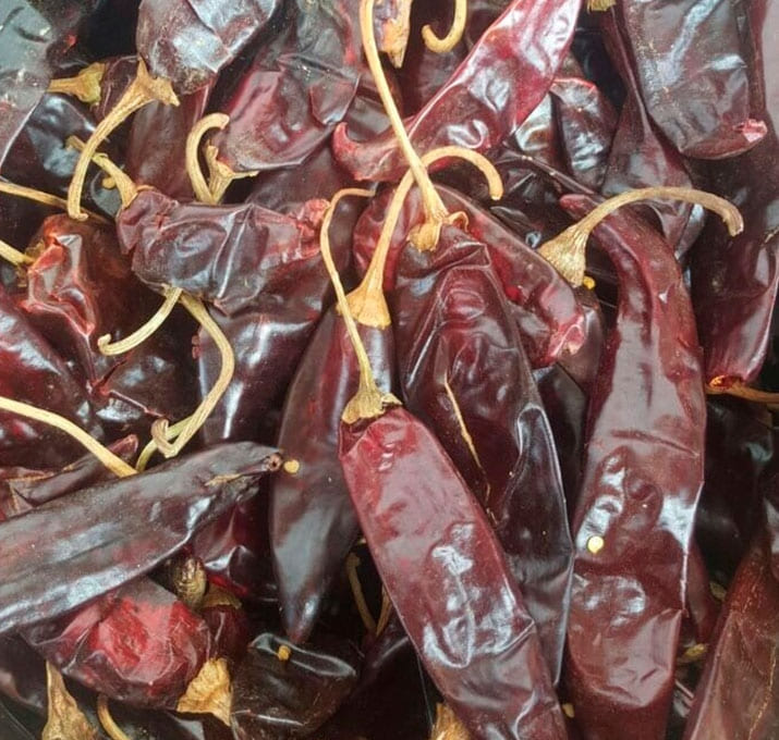 guajillo02