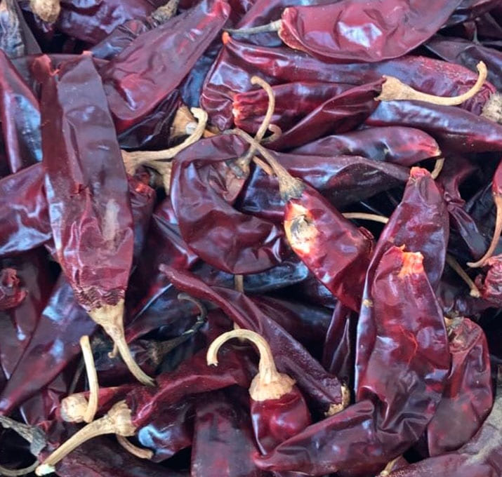 guajillo03