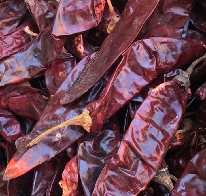 guajillo04